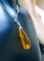 Baltische barnsteen hanger met fossiele insecteninsluiting -, Verzamelen