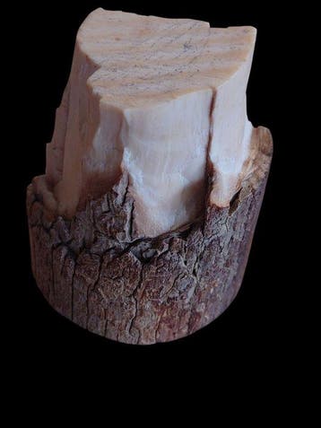 Section ivoire de mammouth — Matériaux artisanaux et de, Verzamelen