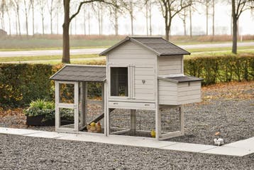 Prachtig Kippenhok Prestige Medium  - De beaux poulaillers, Ophalen of Verzenden, Nieuw, Kippenhok of Kippenren