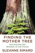 Finding the Mother Tree 9781524712013 Suzanne Simard, Verzenden, Gelezen, Suzanne Simard