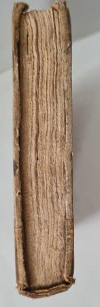 Jacoba Petronella Winckelman - Samenspraak tusschen eener