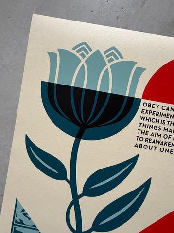 Shepard Fairey (OBEY) (1970) - Phenomenology In Bloom