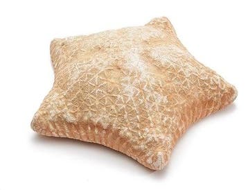 Zeester Pillow Starfish, Nieuw