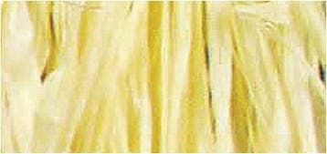 Raffia Natuurraffia Geel 25 gram, Nieuw