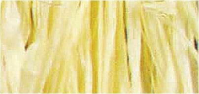 Raffia Natuurraffia Geel 25 gram, Hobby & Loisirs créatifs, Bricolage