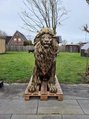 Beeld, XXL Lion - Gold/Bronze Color - 135 cm - Hars - 2026