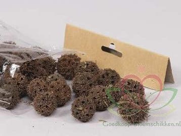 Liquidambar Fruit Naturel 100 gram kleinverpakking, Nieuw