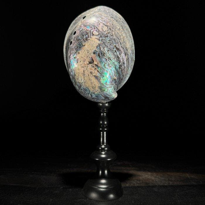Decoratief ornament - NO RESERVE PRICE - Stunning Pair of, Antiquités & Art, Art | Objets design