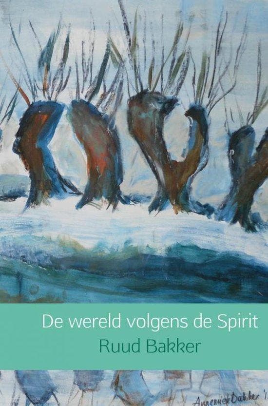 De wereld volgens de Spirit 9789402107357 Ruud Bakker, Boeken, Wetenschap, Zo goed als nieuw, Verzenden