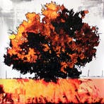 Aleix Albareda - Xiu Cent vint