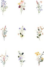 2dekans | Partizzle 36x Droogbloemen Wenskaarten met, Verzamelen, Ophalen of Verzenden