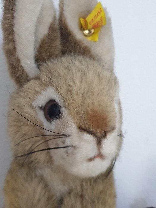 Steiff - Pluche dier - 1970-1980 - Duitsland, Antiek en Kunst, Antiek | Speelgoed