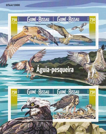 Guine Bissau - 2015 - Roofvogels - Postfris, Verzenden, Postfris, Dier of Natuur