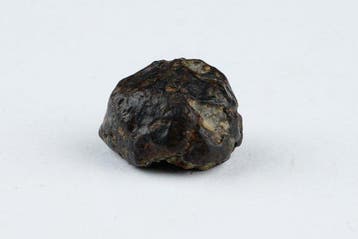 Météorite NWA 869 avec certificat - forme supplémentaire -
