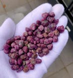 Geen reserveprijs: Ruby Crystal 1075 karaat lot, ideaal voor