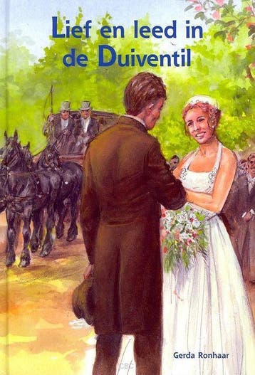 LIEF EN LEED IN DE DUIVENTIL 9789059521346 G. Ronhaar, Verzenden, G. Ronhaar