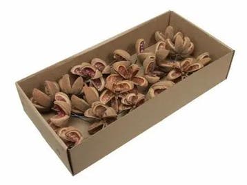 Kartoons Nut Naturel op draad 20 stuks, Hobby en Vrije tijd, Nieuw