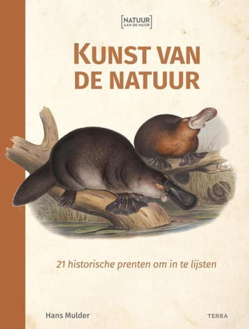 Kunst van de natuur / Natuur aan de muur 9789089899279, Verzenden, Hans Mulder