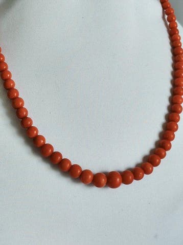 Corail rouge Corail - corallium rubrum (Sans prix de