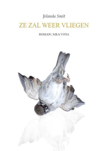 Ze zal weer vliegen 9789082518801 Jolanda Smit, Verzenden, Gelezen, Jolanda Smit