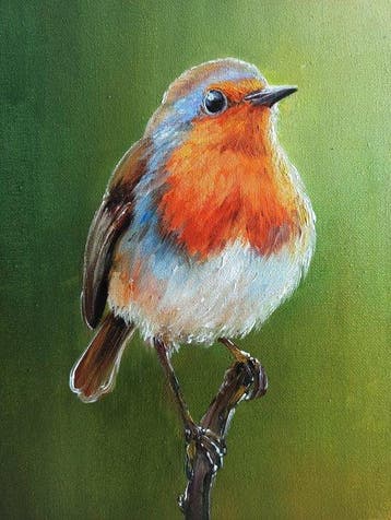 Tomasz Bednarski (1965) - Robin