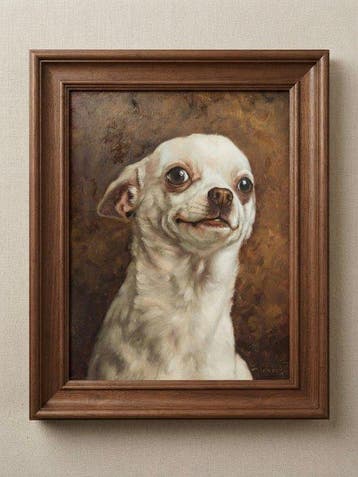 Cirezzi - Chihuahua Blanco Sonriente