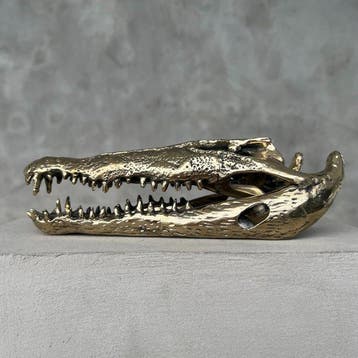 sculptuur, No Reserve Price - Polished Bronze Saltwater