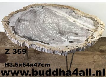 Versteend hout salontafel miljoenen jaar oud! Zeer exclusief, Ophalen of Verzenden, Nieuw, Overige materialen, Steen, marmerlook, luxe, chique, hotelchique, sjiek