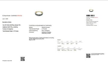 Zonder minimumprijs - Ring - 14 karaat Geel goud - 2.73ct.