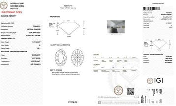 Ring - 18 karaat Witgoud - 1.41ct. tw. Diamant (Natuurlijk)