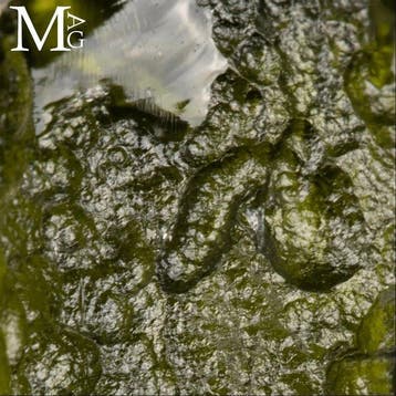 Bijou exclusif - Moldavite naturelle - Bague en argent -