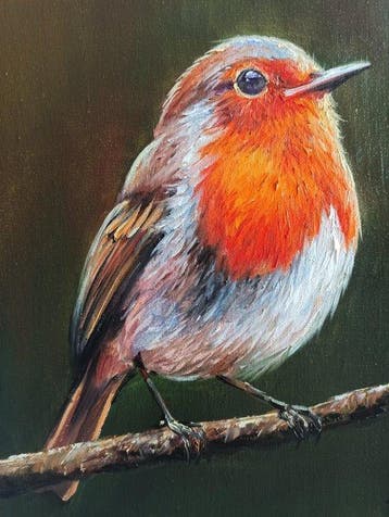 Tomasz Bednarski (1965) - Robin