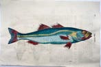 Aldrovandi; Fish, Sea Bass - hand coloured folio - 1638, Antiek en Kunst