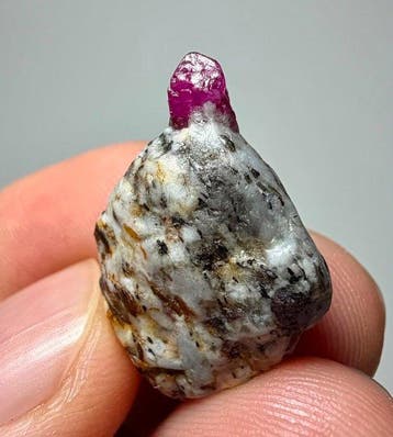 Robijn Kristal op matrix - Hoogte: 23.5 mm - Breedte: 15.5