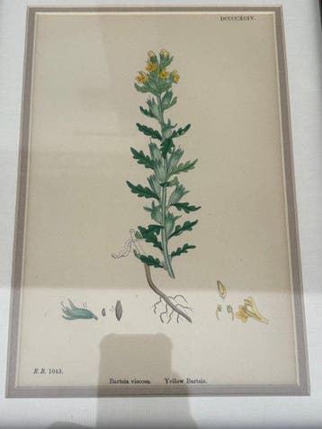Sir james edward smith - Botanisch