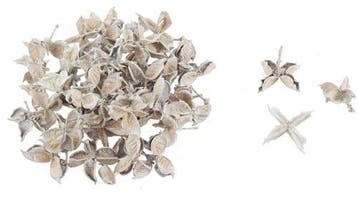 Cottonpod Katoenpods White Wash 40 gram kleinverpakking, Nieuw