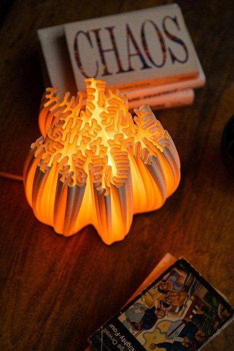 Michael Jasinski - Lampe de table - S3 - Biopolymère, Antiquités & Art, Art | Objets design