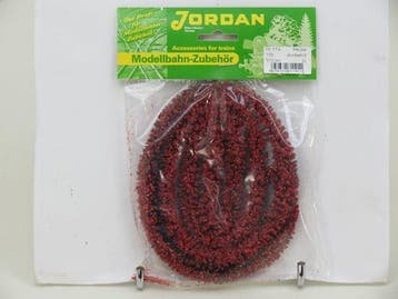 Jordan 11A Hecke, blühend, Dunkelrot, ca 100cm, Ophalen of Verzenden