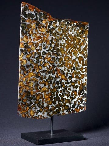 Sericho meteoriet Pallasiet - Hoogte: 16.5 cm - Breedte: 12