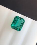 1 pcs Groen Smaragd - 1.61 ct - International Gemological, Nieuw