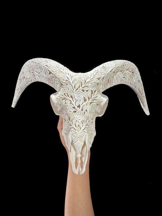 SANS PRIX DE RÉSERVE - Crâne de bélier blanc sculpté avec, Antiquités & Art, Art | Objets design