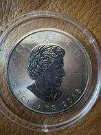 Canada. 2018 Maple Leaf - Nordlichter Alberta - 1 oz