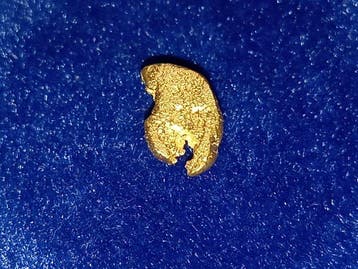 Sieraad met tang - Gouden pepita - Yukon Goud nugget -
