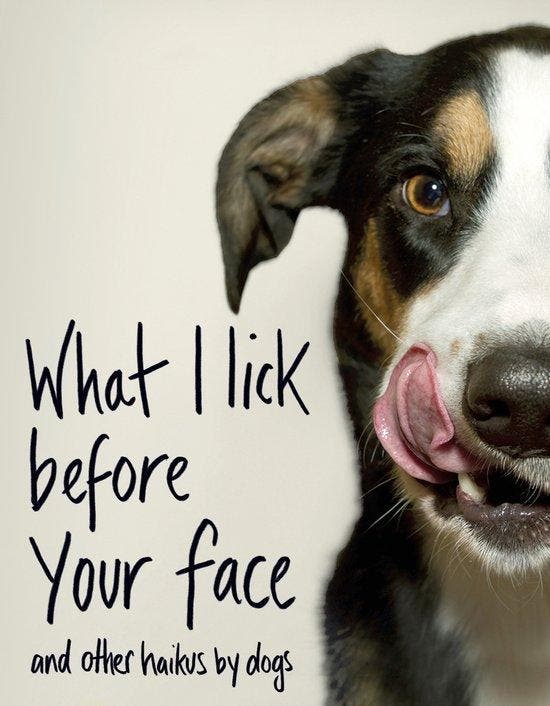 What I Lick Before Your Face ... and Other Haikus By Dogs, Livres, Langue | Anglais, Envoi