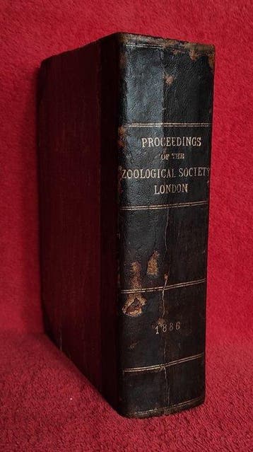 [First Edition] Zoological Society of London - Proceedings