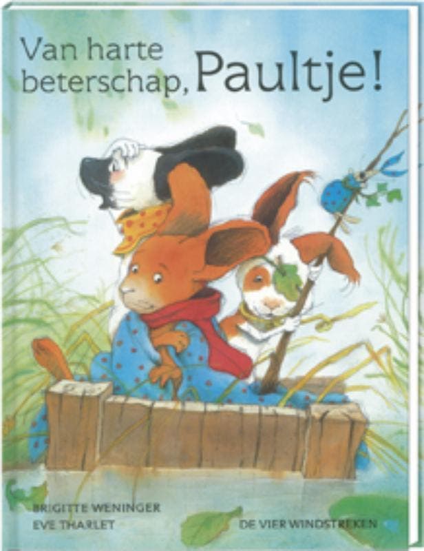 Van harte beterschap, Paultje! / Een Vier Windstreken, Boeken, Kinderboeken | Kleuters, Gelezen, Verzenden