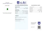 Pas de réserve - Certifié ALGT - Pendentif en jade natif