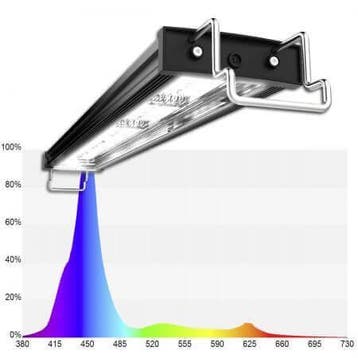 Mitras Lightbar 2 120 Deep Actinic, Verzenden