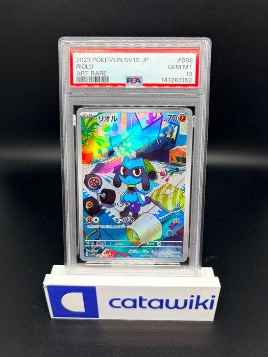 Pokémon - 1 Graded card - Charmeleon Holo 002/032 PSA 10 -, Hobby & Loisirs créatifs, Jeux de cartes à collectionner | Pokémon