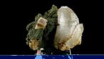 Fluoriet met kwarts en chloriet - Panasqueira, Covilhã,, Verzamelen, Mineralen en Fossielen